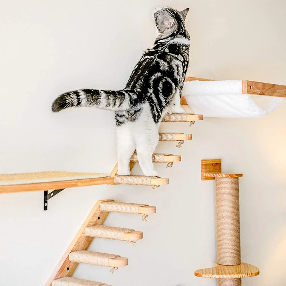Cat Wall Furniture