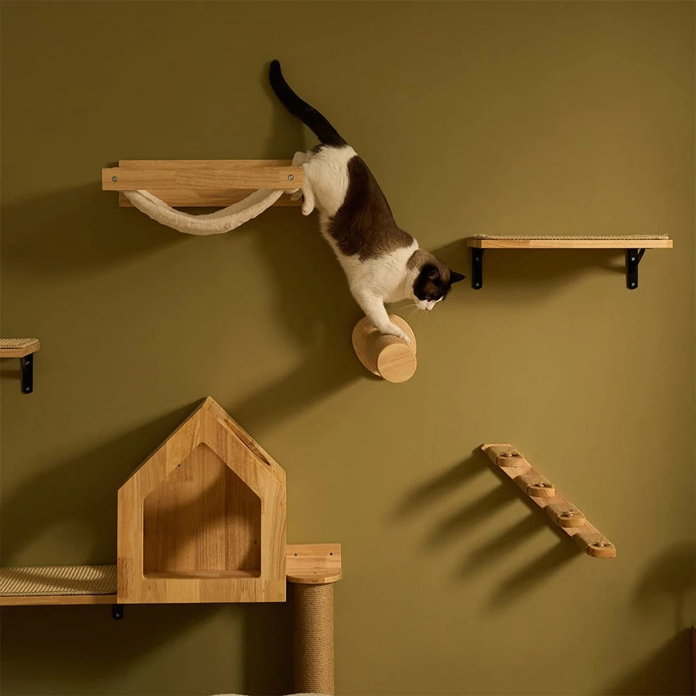 Cat Wall Furniture