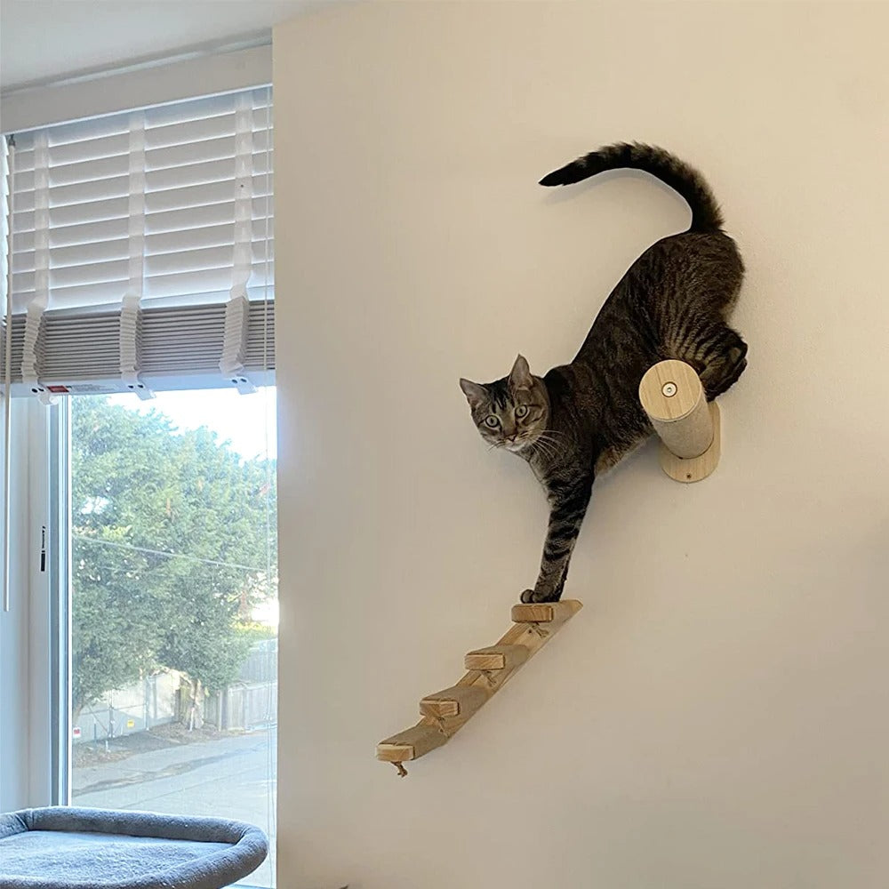 Cat Wall Furniture