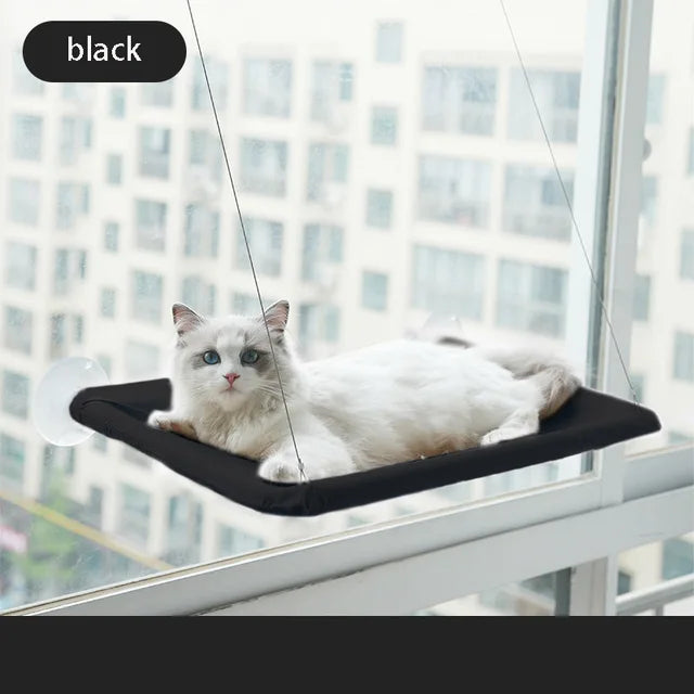 Small to Medium Cat Window Hammock