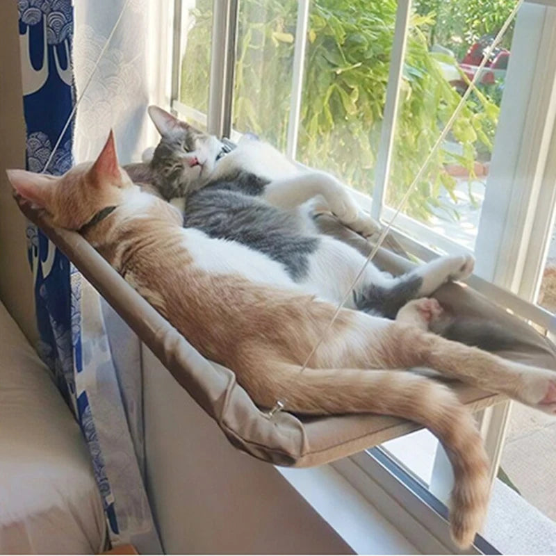 Small to Medium Cat Window Hammock